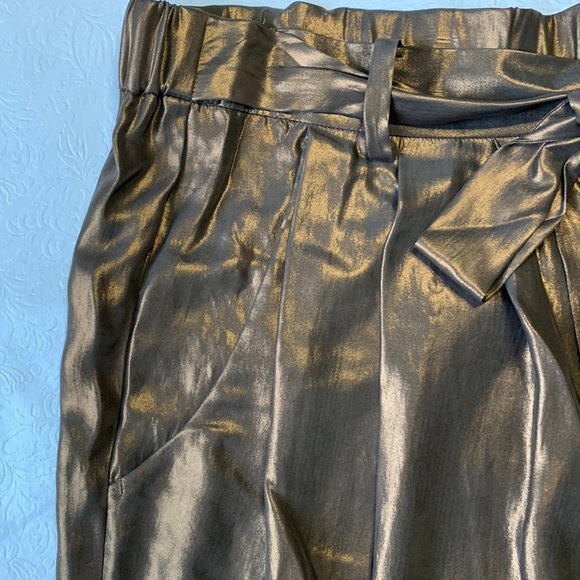 Stills Gold Coated Pants - Picture 4 of 11